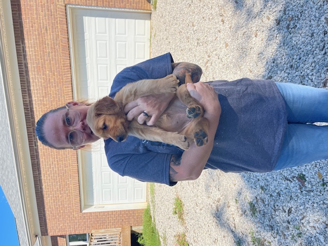 Yellow Collar puppy and Crystal