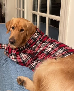 Brown and & brown family