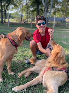 Meet Lovepuppy & the love family