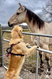Meet Milian & the Acosta Family